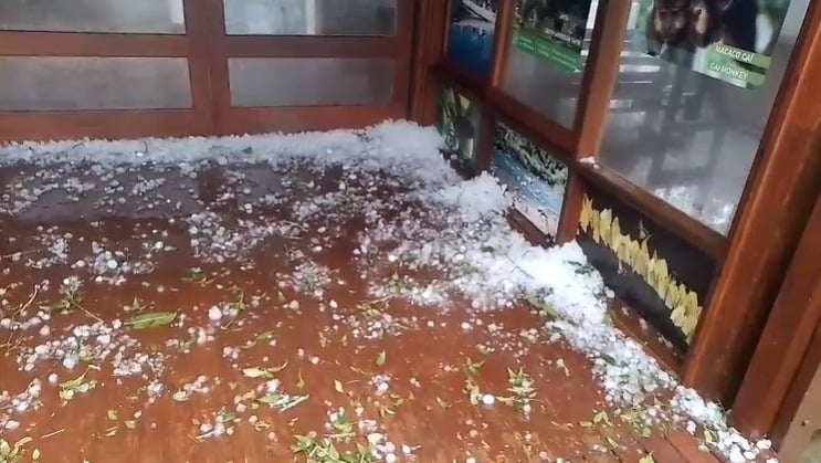 El Soberbio | Fuerte temporal con granizo causó caída de árboles y daños materiales en el Parque Moconá y alrededores